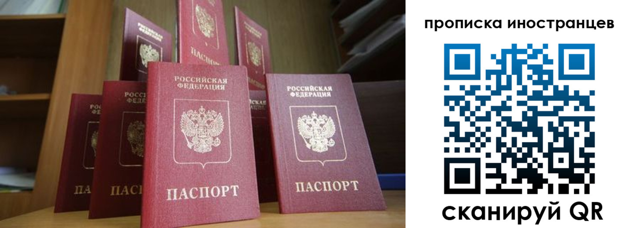 временная прописка в Тимашёвске